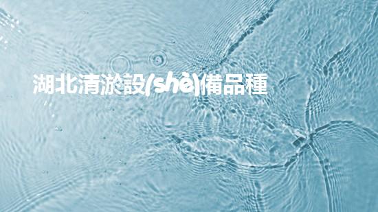 湖北清淤設(shè)備品種及價(jià)格清淤設(shè)備市場(chǎng)揭秘：你不明白的價(jià)格與選擇！